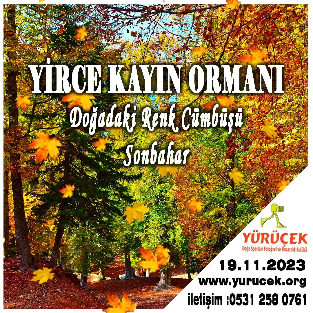 OSMANİYE/YİRCE KAYIN ORMANLARI