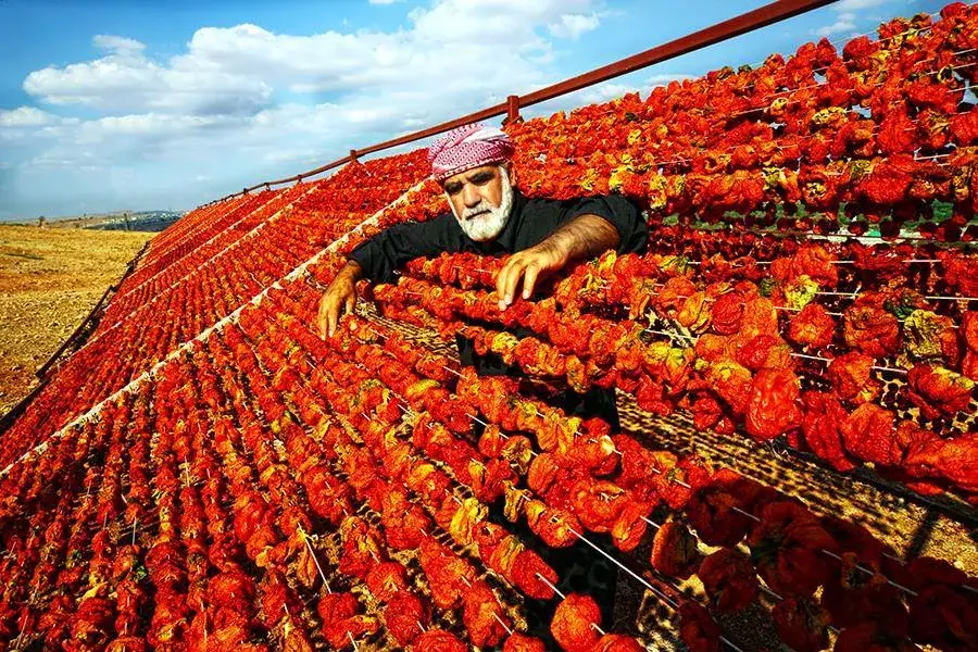 Yurucek Gaziantep Fotograf Gezisi
