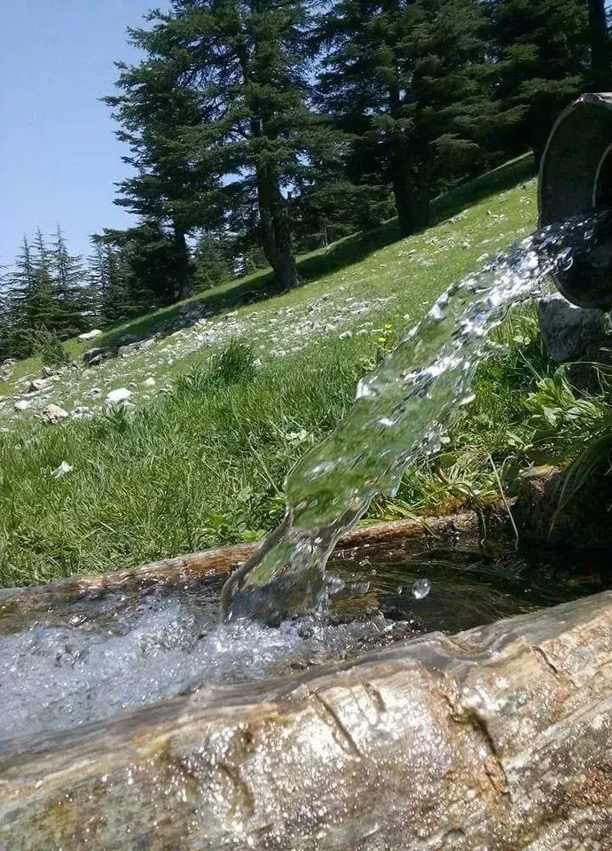 POZANTI ASMACIK (2000) RAKIMINDA DOĞA YÜRÜYÜŞÜ