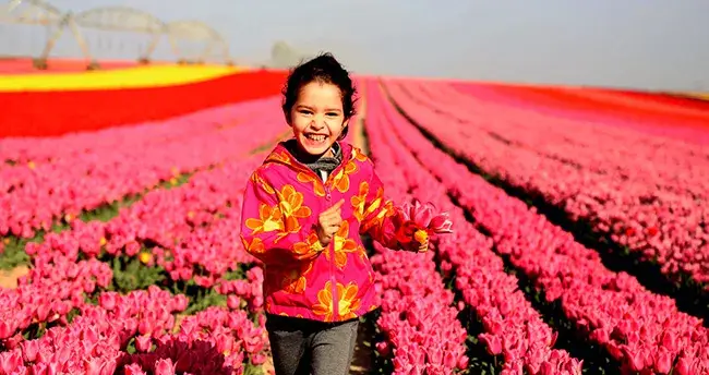 KONYA SİLLE / TROPİKAL KELEBEKLER VADİSİ / LALE TARLALARI FOTOĞRAF GEZİSİ