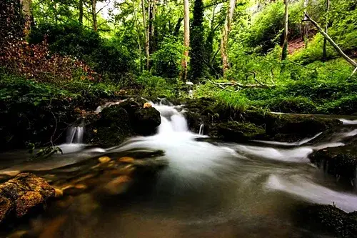 Doga Harikasi Papazin Bahcesi Piknik ve Doga Yuruyusu