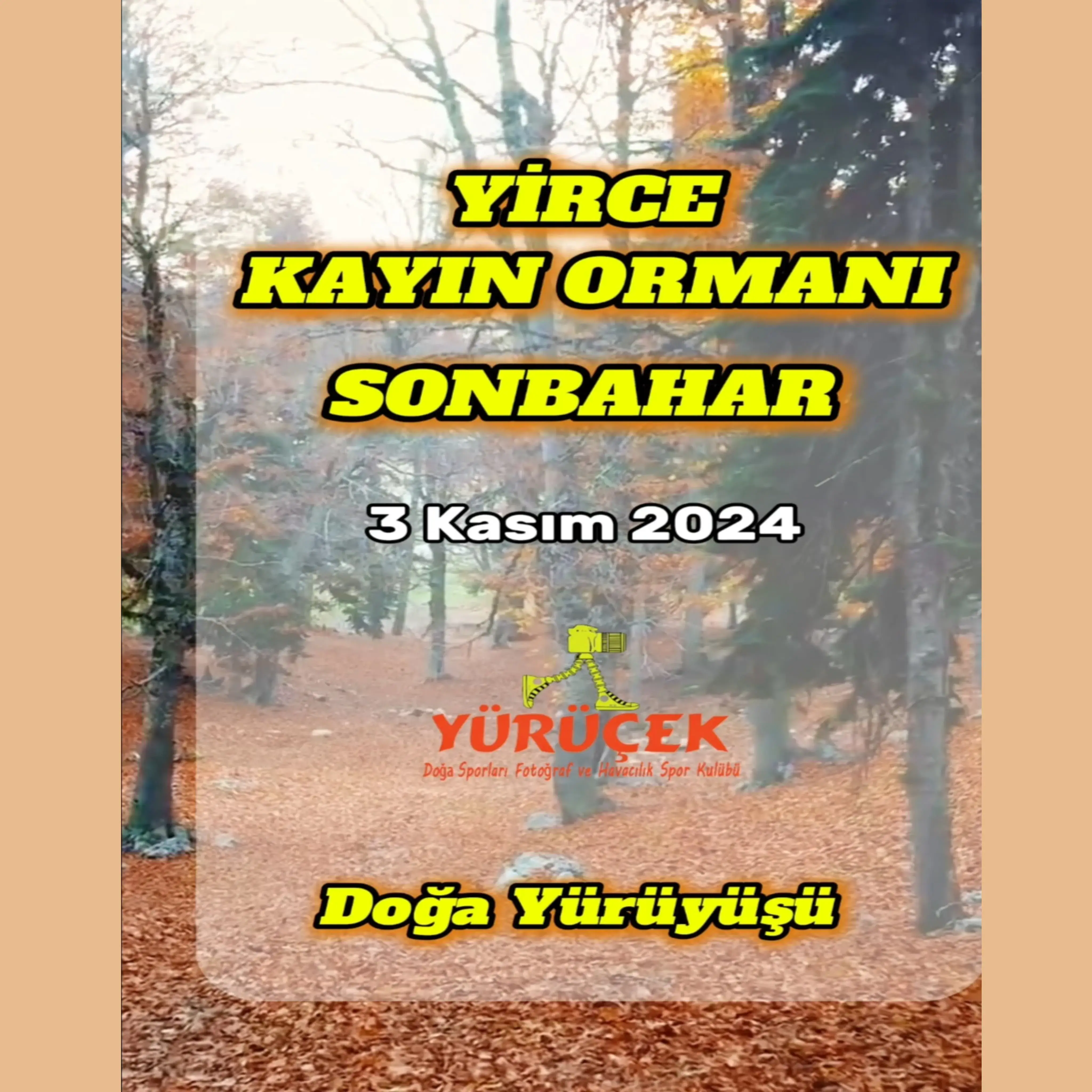YİRCE KAYIN ORMANLARI SONBAHAR DOĞA YÜRÜYÜŞÜ